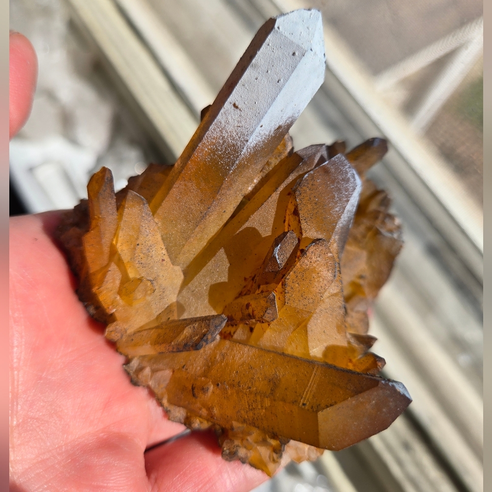 Solaris Quartz Cluster